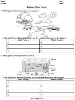 Mastering The Living Environment Regents Review Your Answer Key To Success