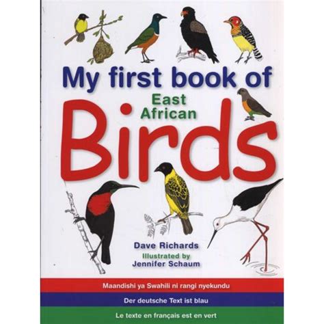 Book Sasol My First Book Of Sa Birds