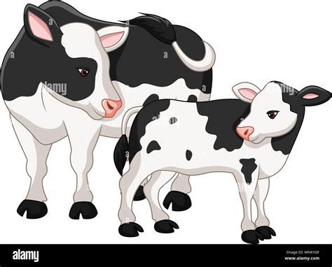 Calf Cow Run Cut Out Stock Images And Pictures Alamy