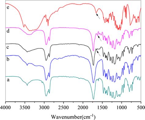 Synthesis And Characterization Of Lactose Grafted Polycaprolactone