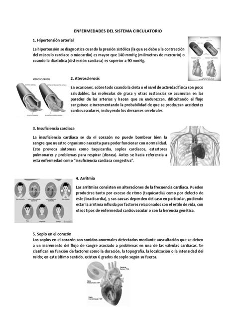 5 Enfermedades Del Sistema Circulatorio