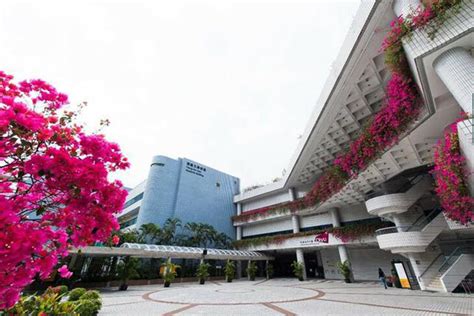 香港城市大学创意媒体艺术硕士 香港首创资格最高 网友分享 斯芬克