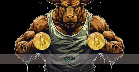 bitcoin bullrun zyklus boom monate voraus