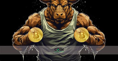 Bitcoin Bullrun Zyklus Boom Monate Voraus