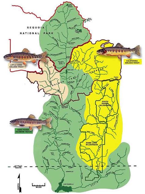 Golden Trout Wilderness Backpacking