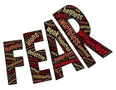 photo afraid dread emotion expression  image  pixabay
