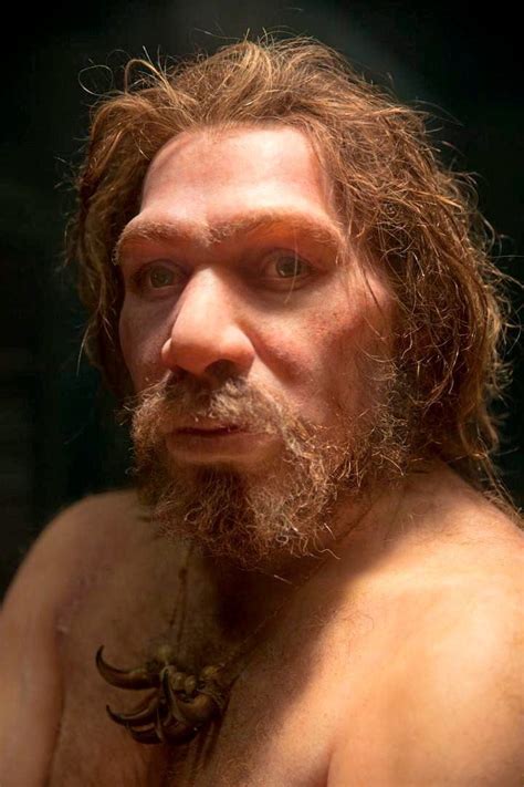 Forscher rätseln schon lange warum Homo neanderthalensis ausgestorben