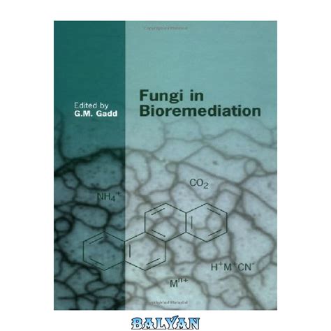دانلود کتاب Fungi in Bioremediation - بلیان 