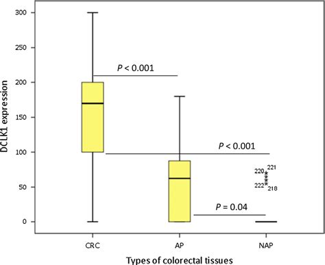 Expression Analysis Of Dclk1 Expression In Different Colorectal