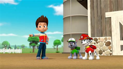 Image All Star Pups 14 Paw Patrol Wiki Fandom Powered By Wikia