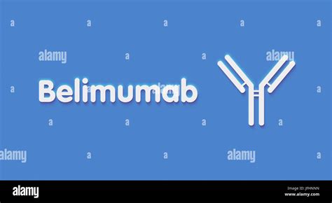 Belimumab Monoclonal Antibody Drug Targets B Cell Activating Factor Baff Used In Treatment