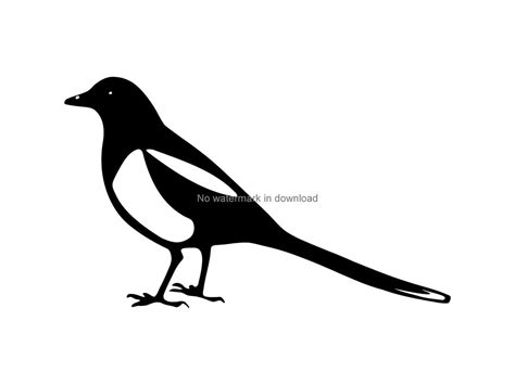 Magpie Svg, Magpie Clipart, Bird Magpie Bird, Paper Cutting Designs ...