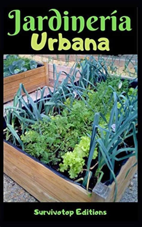 Guía Completa De Jardines Urbanos Beneficios Y Tipos Cojardin