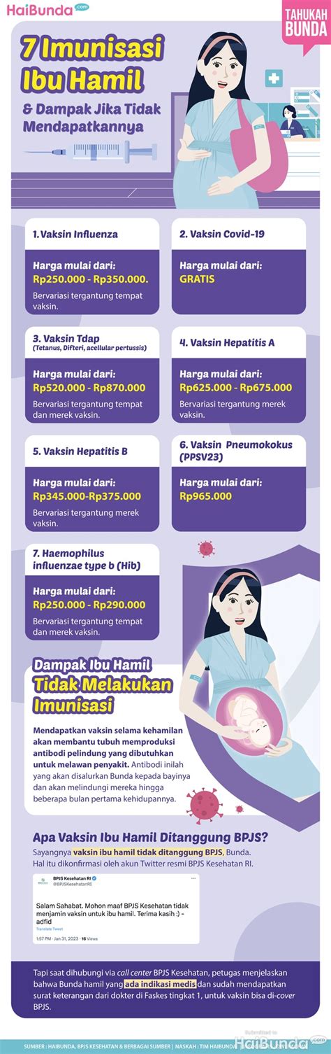 7 Imunisasi Ibu Hamil And Dampak Jika Mendapatkannya