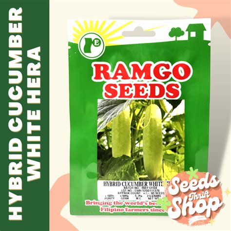 Hybrid Cucumber White Hera Ramgo Seeds Sachet Lazada Ph