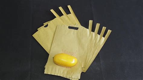 Waterproof Wax Coated Mango Cover Paper Bag To Prevent Pests And Insect