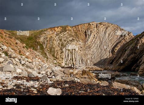 Famous Rock Strata At Stairhole Rocks Lulworth Cove Dorset Uk Called