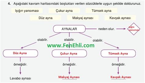 S N F Fen Bilimleri Ders Kitab Cevaplar Fenehli