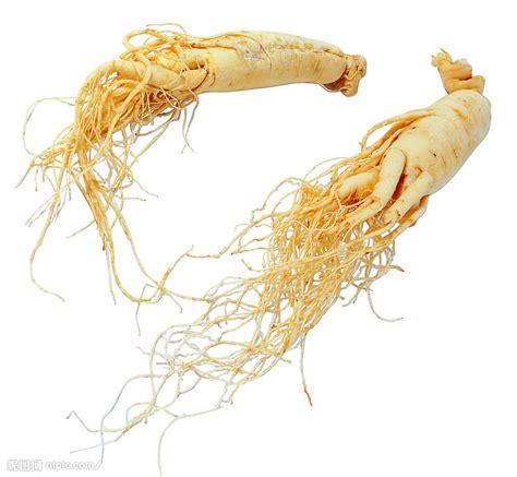 Ginseng Seems To Be Everywhere At The Moment Realize Beauty