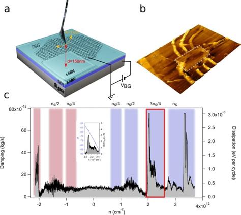 Energy Dissipation On Magic Angle Twisted Bilayer Graphene