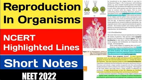 Reproduction In Organisms Class 12 Ncert Highlights Reproductioninorganisms Neet2022 Neet