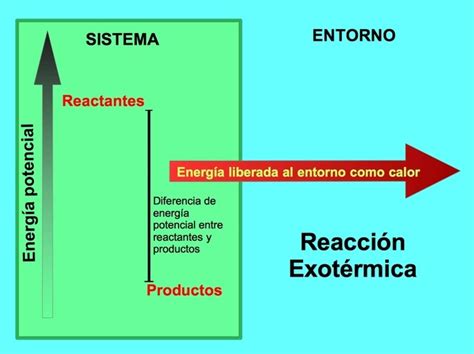 Diferencia entre reacciones endotérmicas y reacciones exotérmicas