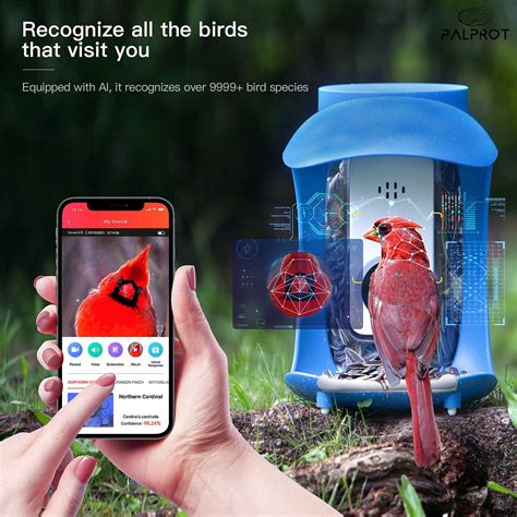 SMART BIRDS FEEDER: WHAT IS IT FOR? | by Zahir Hussain | Medium