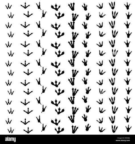 Dinosaur Foot Print Illustration Hi Res Stock Photography And Images