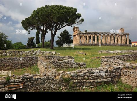 El Athenaion Ceres O Templo De Atenea En Paestum Campania Italia