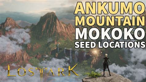 All Ankumo Moutain Mokoko Seeds Lost Ark Collectibles Youtube