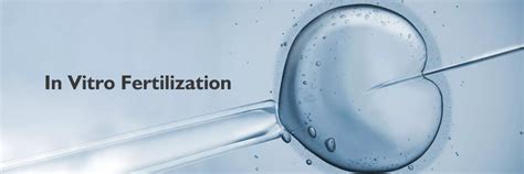 In Vitro Fertilization Ivf Preparation Procedure And Recovery