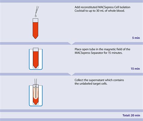 Magnetic Cell Separation Miltenyi Biotec Usa