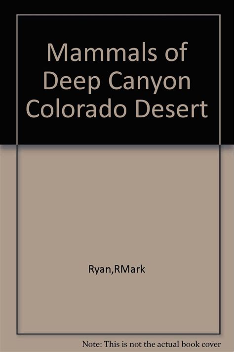 Mammals Of Deep Canyon Colorado Desert California Ryan R Mark