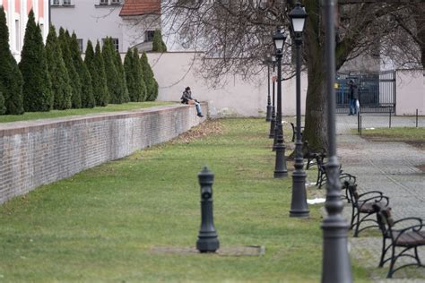 Pierwsze znaki wiosny w Polsce Gdzie przyroda budzi się już do życia