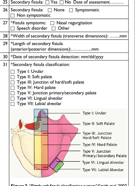 Figure 1 From A Standardized Protocol For The Prospective Follow Up Of Cleft Lip And Palate