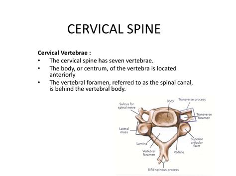 Ppt Anterior Cervical Discectomy With Fusion Acdf Powerpoint