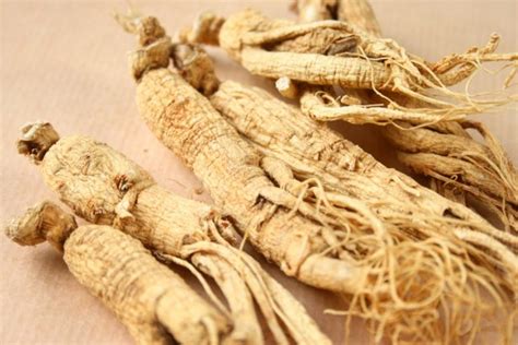 Ginseng Ses Bienfaits Pour La Sant