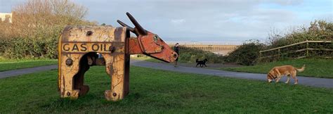 Portbury Wharf Nature Reserve - Bristol dog walk - Bristol Barkers