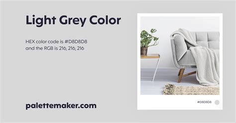 Light Grey Color - HEX #D8D8D8 Meaning and Live Previews - PaletteMaker