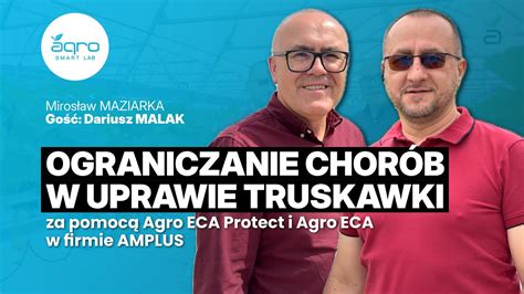 Ograniczanie chorób w uprawie truskawek za pomocą Agro ECA Protect Agro