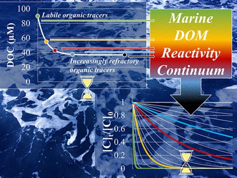 New Perspectives On The Marine Carbon CycleThe Marine Dissolved