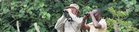 Bird Watching In Uganda Venture Uganda