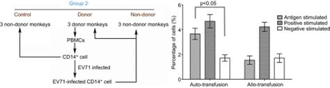 Ev71 Infected Cd14 Cells Induced A Specific Anti Ev71 Immune Response