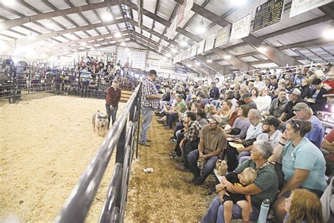 Swines Dominate At Fairs 4 H And Ffa Market Livestock Auction News