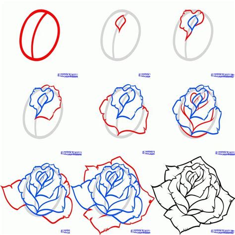 How to draw a rose step by step | Roses drawing, Rose step by step ...