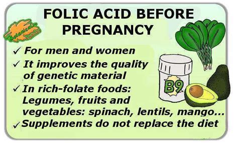 Folic acid before pregnancy – Botanical online