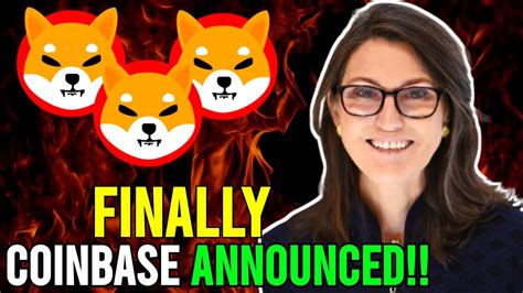 BINANCE PRICE PUMP SHIBA INU COIN THAT WILL MAKE YOU A MILLIONAIRE