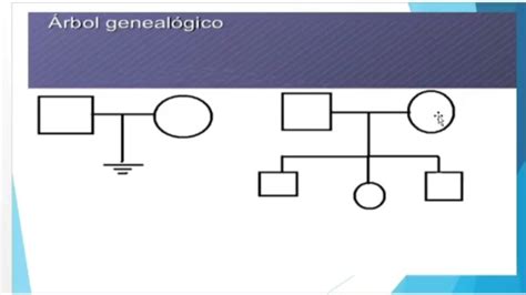 GENÉTICA El árbol genealógico YouTube