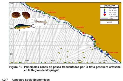 Defensa Marina Resultados Encuesta Pesca Artesanal Moquegua Y Tacna