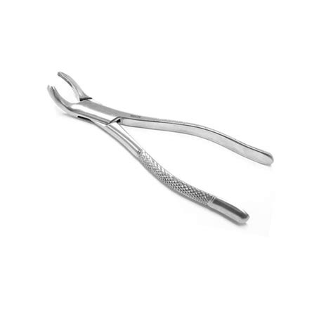 Dental Extracting Forceps Surgical Dental Surgical Mart